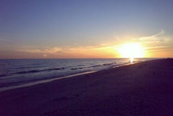 Pet friendly dog park in Sanibel, Florida, Algiers Beach in Gulfside City Park 
