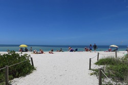 Pet friendly dog park in Sanibel, Florida Bowman's Beach