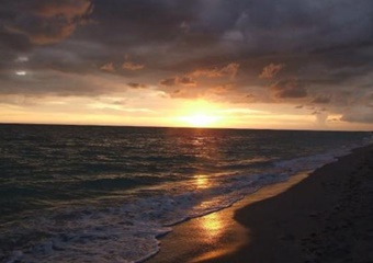 pet friendly hotel in sanibel florida