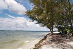 Pet friendly dog park in sanibel island florida, causeway beaches