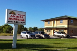 Chiquita Animal Hospital, pet friendly Vets near Sanibel, FL