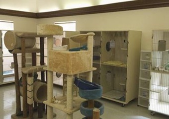 Coral Vet Clinic pet friendly vets in Sanibel Island, FL