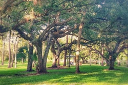 Pet friendly dog park in Sanibel, Florida, Depot Park 