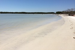 Pet friendly dog park in Sanibel, Florida, Dog Beach Park