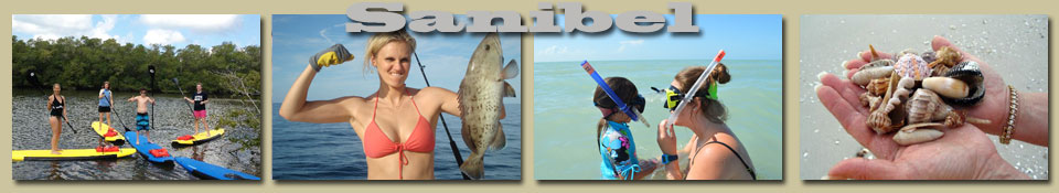 fun in sanibel pet friendly