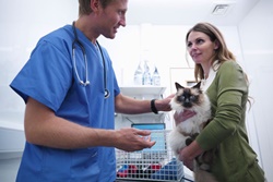 Vet in Taos, New Mexico: Salazar Road Veterinary Clinic: