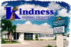Kindness Animal Hospital West, pet friendly veterinarians vets near sanibel florida