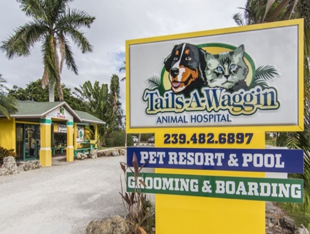 Tails a Waggin Animal Hospital and Resort pet care in Sanibel, FL