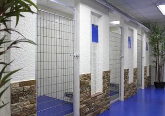 Tails a Waggin Animal Hospital and Resort pet care in Sanibel, FL